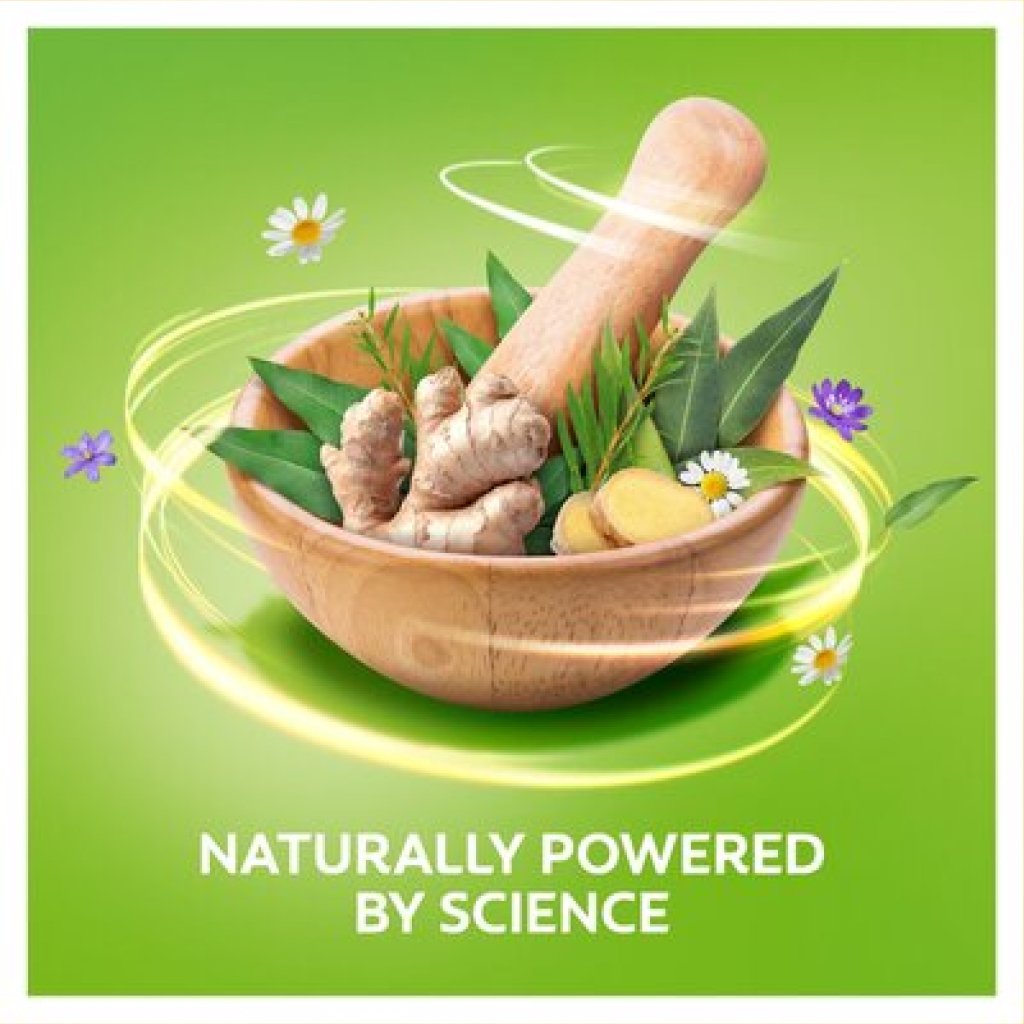 Colgate Herbal Healthy Gums Fluoride Toothpaste 4 x 100ml - 18 pcs